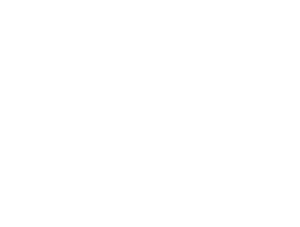 Elephant Journal